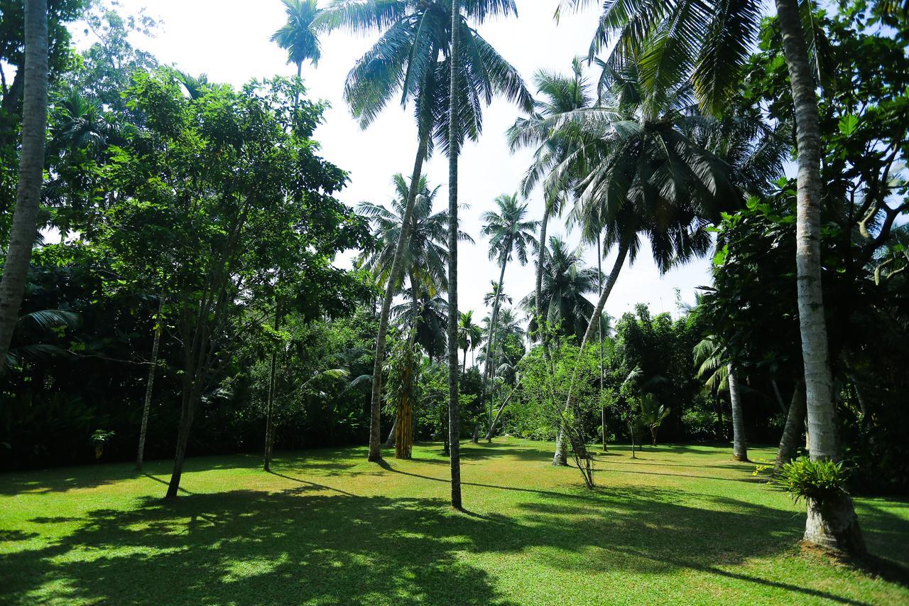 Old Parkland Hostel Galle Kültér fotó