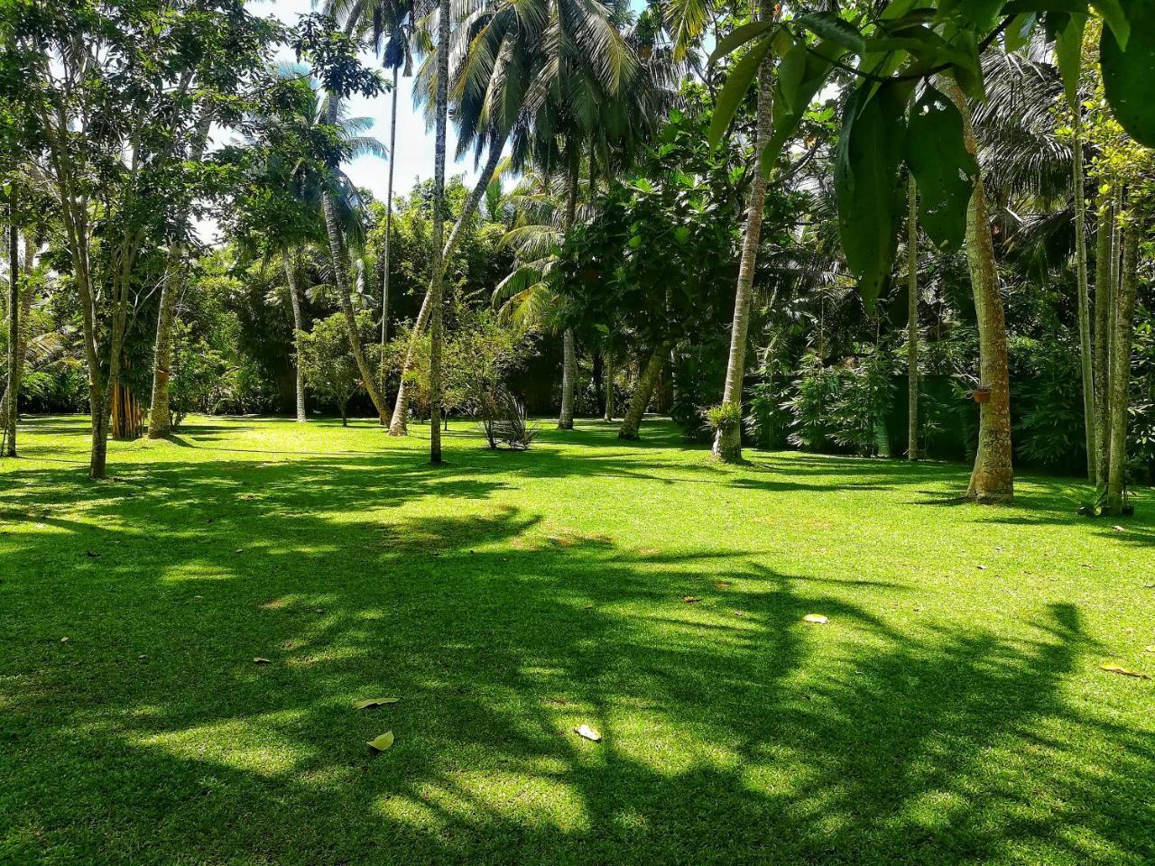 Old Parkland Hostel Galle Kültér fotó